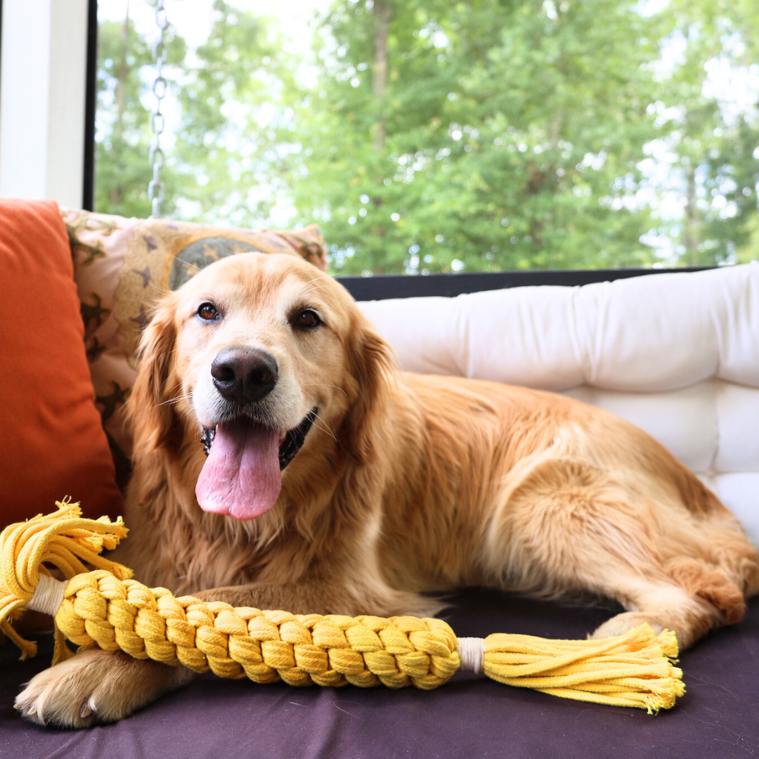 Jumbo Yellow Candy Rope Toy