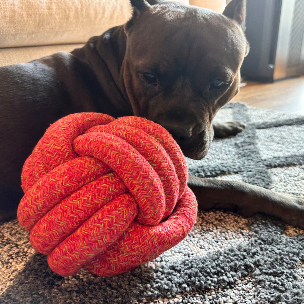 The Sunshine Red Collection of Jumbo Rope Ball Toy