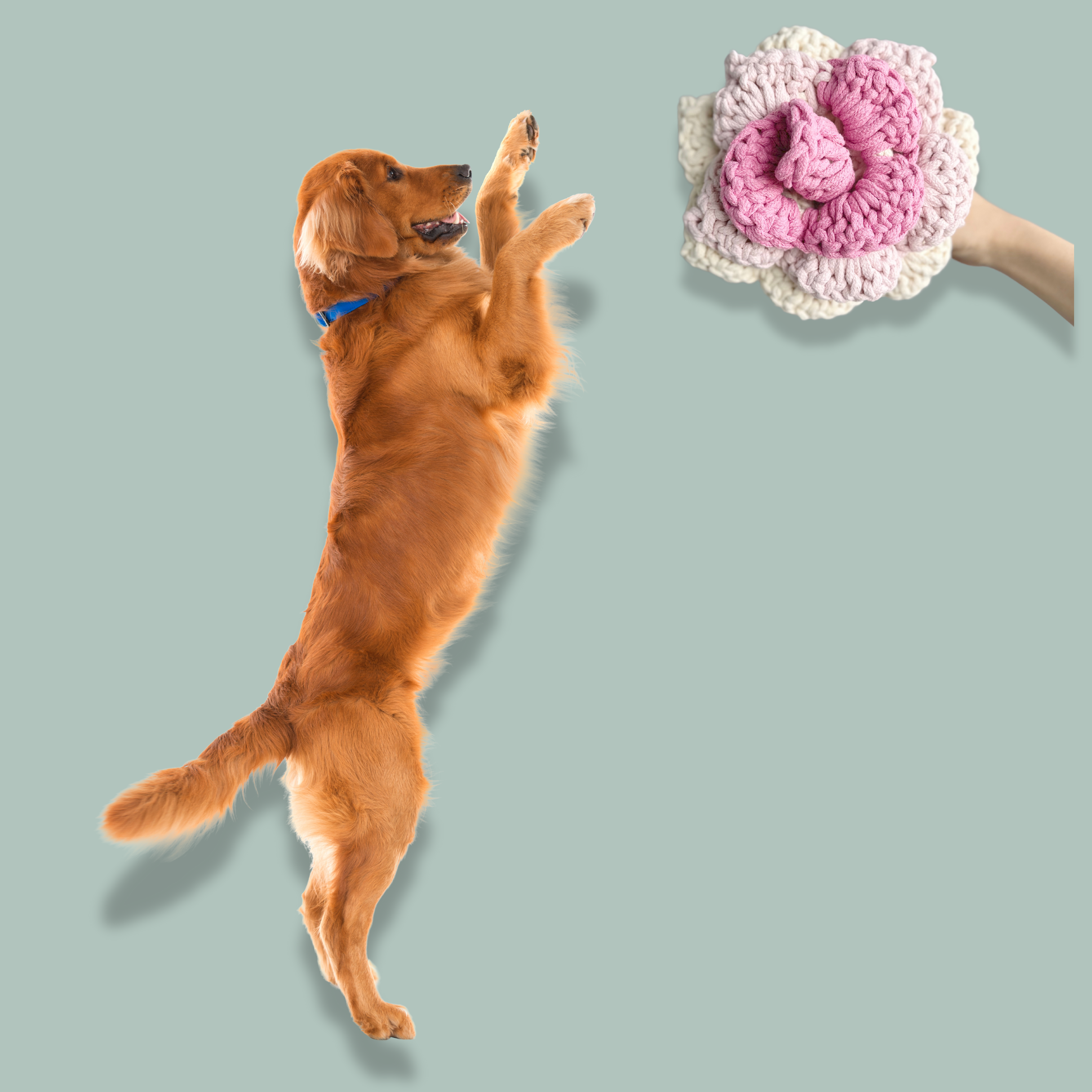 Prunus Blossom: Snuffle Flower Dog Toy