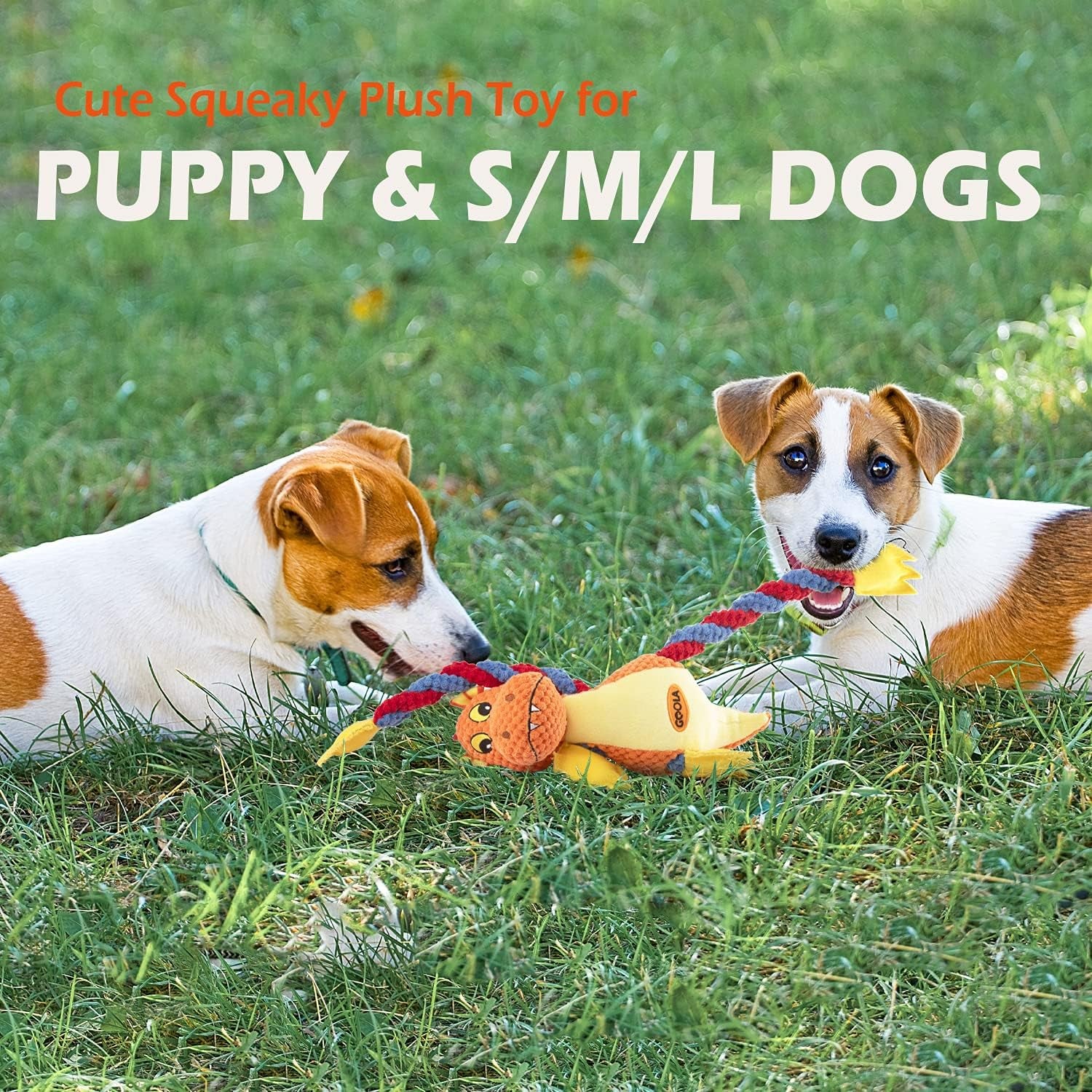 Dog Squeaky Toys, Cute Dragon Interactive Plush Stuffed Toy with 5 Squeakers and Crinkle Paper,Pet Rope Chew Toy for Puppy Small Medium Large Breed Dogs